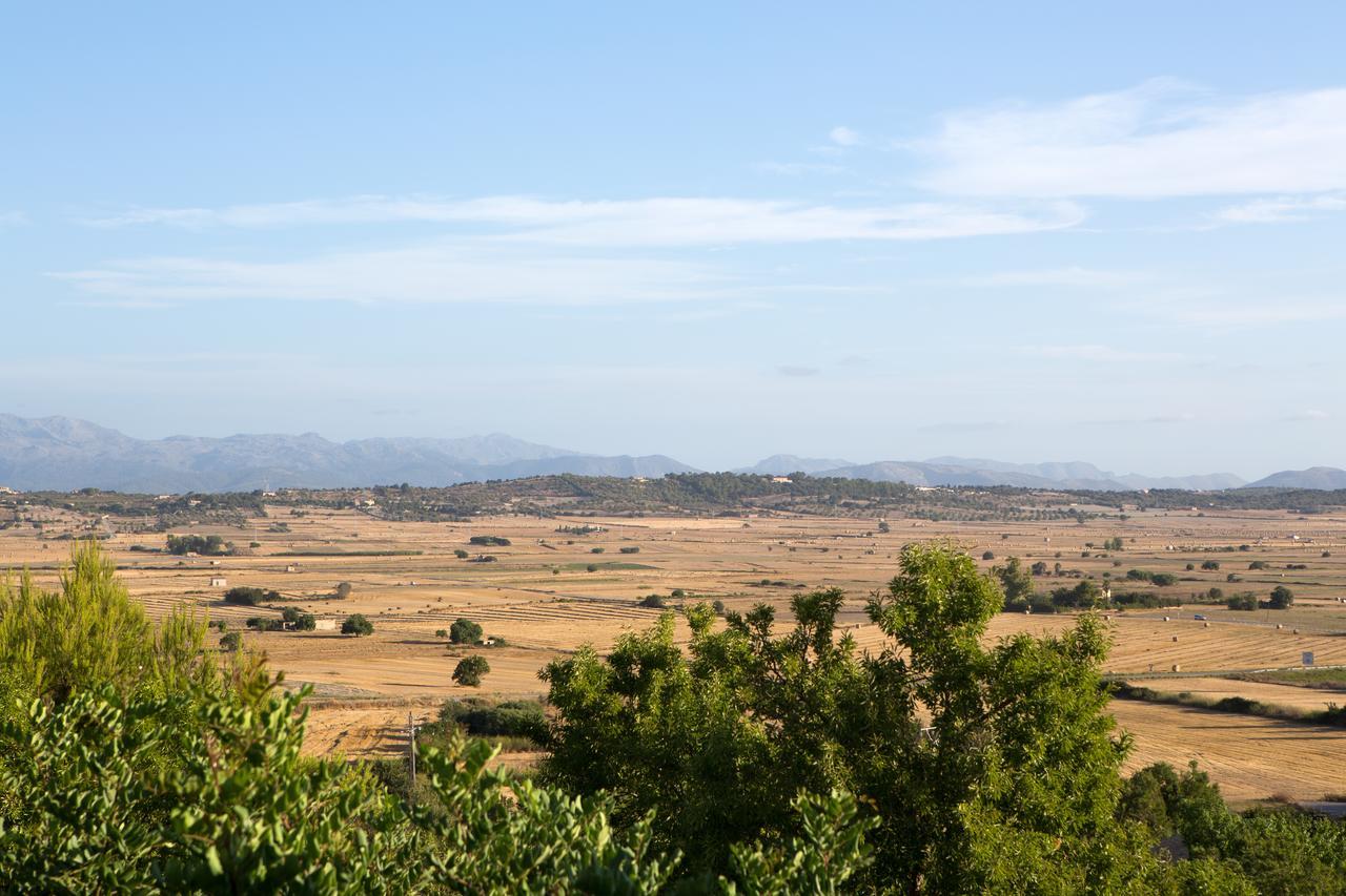 Casa Font I Roig Hotel María de la Salud Екстериор снимка