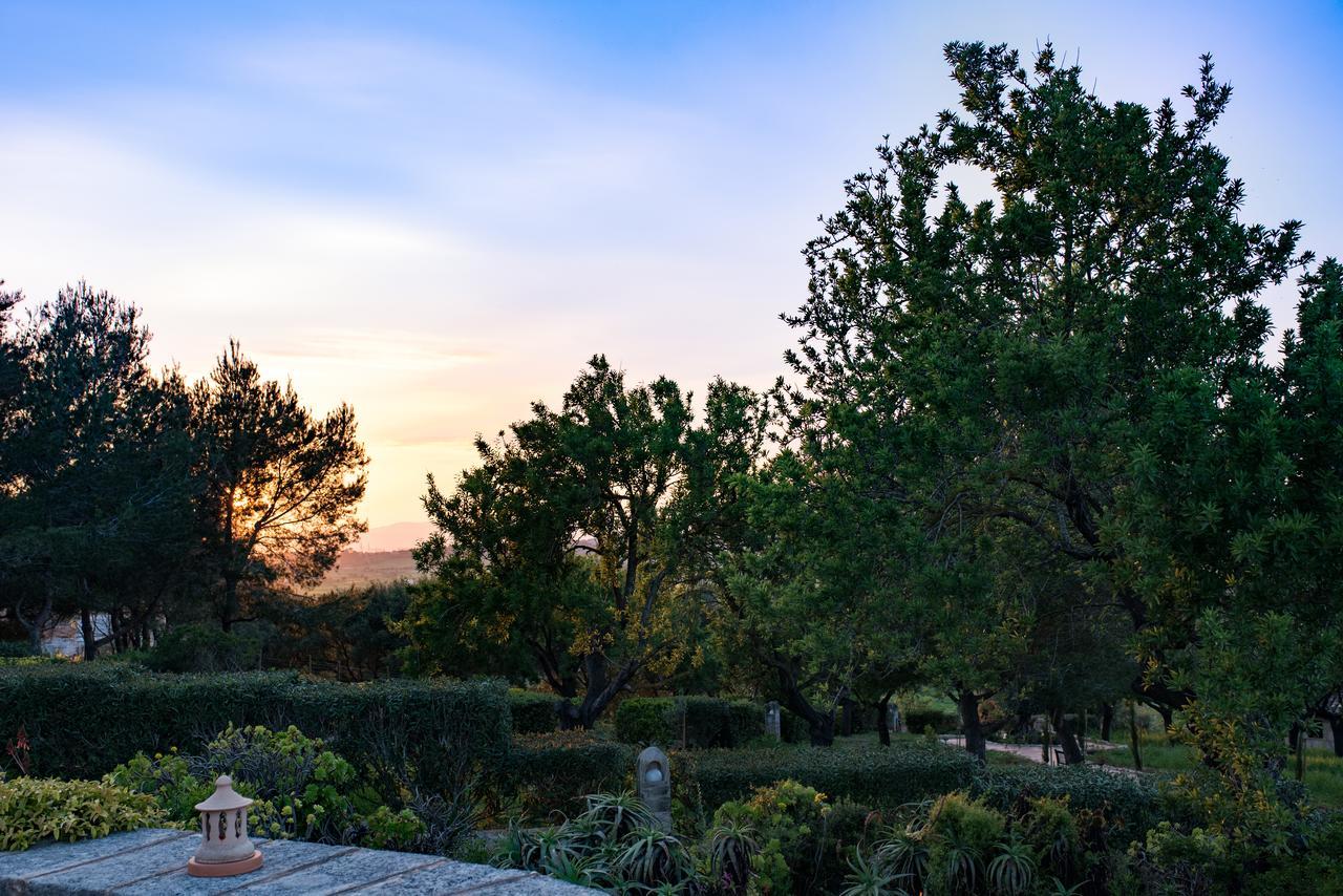 Casa Font I Roig Hotel María de la Salud Екстериор снимка